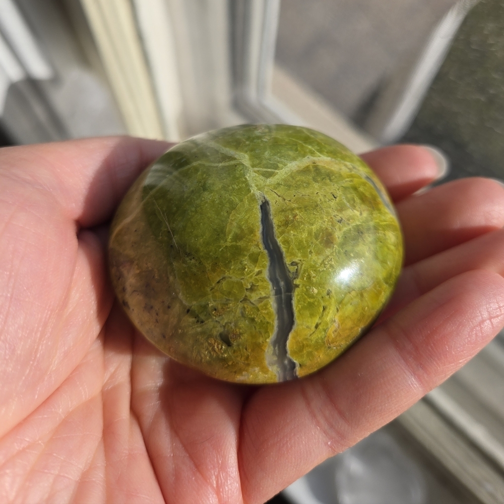 Green Opal Palm Stone - Picture 3 of 6
